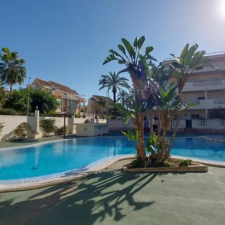 Kalma * Dénia